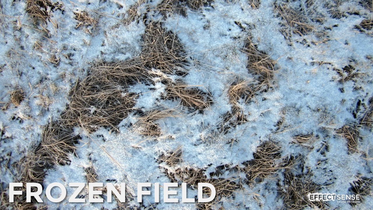 Frozen Field Footstep Foley Sound Effects